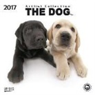 Korsch Verlag - The Dog 2017
