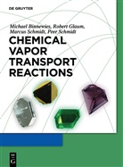 Michae Binnewies, Michael Binnewies, Rober Glaum, Robert Glaum, Marcus Schmidt, Marcus e Schmidt... - Chemical Vapor Transport Reactions