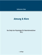 Katharina Ecker - Atmung & Niere