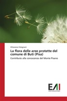 Ottaviano Folegnani - La flora delle aree protette del comune di Buti (Pisa)