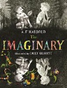 A. F. Harrold, A. F./ Gravett Harrold, Emily Gravett - The Imaginary
