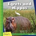 Kevin Cunningham - Egrets and Hippos