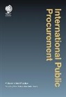 Roberto Hernandez Garcia, Roberto Hernandez Garcia - International Public Procurement