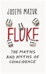 Joseph Mazur - Fluke