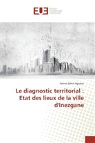 Fatima Zahra Agnaou - Le diagnostic territorial : Etat des lieux de la ville d'Inezgane