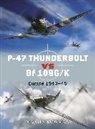 Martin Bowman, Chris Davey, Gareth Hector, Hector Gareth, Jim Laurier, Laurier Jim... - P-47 Thunderbolt vs Bf 109G/K