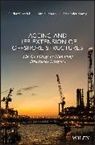 G Ersdal, Gerhard Ersdal, Gerhard Sharp Ersdal, Ersdal Gerhard, John V Sharp, John V. Sharp... - Ageing and Life Extension of Offshore Structures
