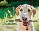 Orvis, Orvis Orvis - Dogs Unleashed