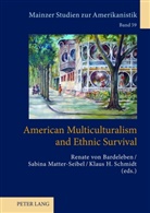 Renate Von Bardeleben, Sabina Matter-Seibel, Klaus H. Schmidt - American Multiculturalism and Ethnic Survival