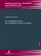 Guido Norman Motz - Die Arbeitgeberstellung des vorläufigen Insolvenzverwalters