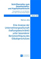 Marcus Jerg, Lutz Michalski - Eine Analyse der Unternehmergesellschaft (haftungsbeschränkt) unter besonderer Berücksichtigung des Gläubigerschutzes