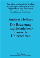 Andreas Hofherr - Die Bewertung wandelanleihenfinanzierter Unternehmen