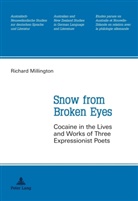 Richard Millington - Snow from Broken Eyes