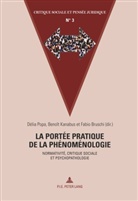 Fabio Bruschi, Benoît Kanabus, Délia Popa - La portée pratique de la phénoménologie