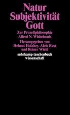 Helmu Holzhey, Helmut Holzhey, Alois Rust, Reiner Wiehl - Natur, Subjektivität, Gott