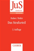 Johannes Hofer, Michae Huber, Michael Huber - Das Strafurteil