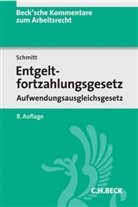 Irmgard Küfner-Schmitt, Irmgard (Dr. Küfner-Schmitt, Jochem Schmitt, Jochem (Dr. Schmitt, Jochem (Dr.) Schmitt, Laura Schmitt - Entgeltfortzahlungsgesetz, Kommentar
