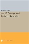 Sidney Verba - Small Groups and Political Behavior