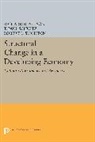 Richard Nelson, Richard R. Nelson, Richard R. Schultz Nelson, T. Schultz, T. Paul Schultz, Schultz T. Paul... - Structural Change in a Developing Economy