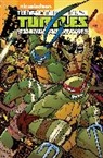 Peter Dicicco, Ian Flynn, Goelln, Caleb Goellner, Fabian Rangel, Chad Thomas... - Teenage Mutant Ninja Turtles: Amazing Adventures Volume 2