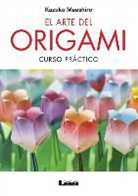 Kazuko Maeshiro - El Arte del Origami: Curso Práctico