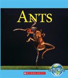 Josh Gregory - Ants