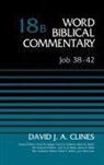 David J. A. Clines, Zondervan - Job 38-42, Volume 18B: 18