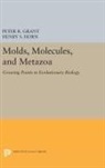 Peter R. Horn Grant, Peter Grant, Peter R. Grant, Henry Horn, Henry S. Horn, Horn Henry S. - Molds, Molecules, and Metazoa