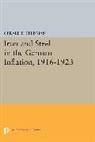 Gerald Feldman, Gerald D. Feldman, Feldman Gerald D. - Iron and Steel in the German Inflation, 1916-1923