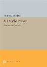 Chandra Mukerji, Mukerji Chandra - Fragile Power