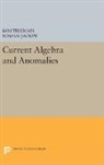 Sam Callan, Paul M. Chaikin, Roman Jackiw, Sam Treiman, Sam B. Jackiw Treiman, Sam Jackiw Treiman... - Current Algebra and Anomalies