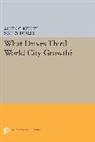 Nancy Burley, Burley Nancy, Allen Kelley, Allen C. Kelley, Allen C. Burley Kelley, Kelley Allen C. - What Drives Third World City Growth?