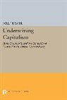 Joel Krieger, Professor Joel Krieger - Undermining Capitalism