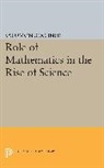 Salomon Bochner, Salomon Trust - Role of Mathematics in the Rise of Science