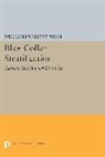 William Form, William Humbert Form, Form William Humbert - Blue-Collar Stratification