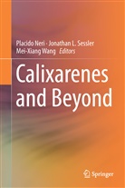 Jonatha L Sessler, Jonathan L Sessler, Placido Neri, Jonathan L. Sessler, Mei-Xiang Wang - Calixarenes and Beyond