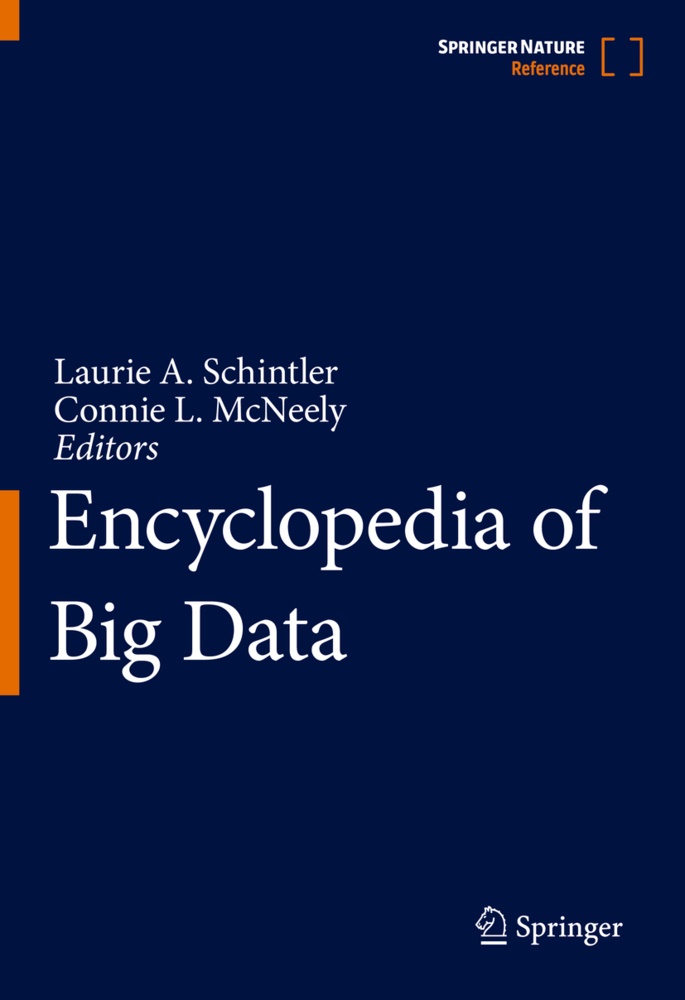 Lauri A Schintler, Laurie A Schintler,  L McNeely,  L McNeely, Connie L. McNeely, Laurie A. Schintler - Encyclopedia of Big Data