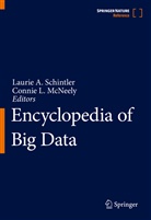 Lauri A Schintler, Laurie A Schintler, L McNeely, L McNeely, Connie L. McNeely, Laurie A. Schintler - Encyclopedia of Big Data