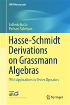 Letteri Gatto, Letterio Gatto, Parham Salehyan - Hasse-Schmidt Derivations on Grassmann Algebras