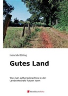 Heinrich Bölling - Gutes Land