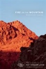 Ray Vander Laan, Ray/ Sorenson Vander Laan - Fire on the Mountain