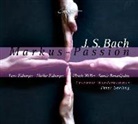 Johann Sebastian Bach, Lars Eidinger - Markus-Passion, 1 Audio-CD (Hörbuch)