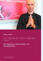 Stefan Wahle - Das Qigong der sechs heilenden Laute