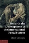 Roisin Mulgrew, Róisín Mulgrew - Towards the Development of the International Penal System