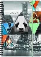 Schülerkalender A5 PP Town 2016/2017