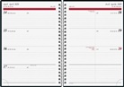 Buchkalender Timing1 Wire-O Pusteblume 2020