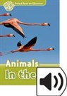 Robert Quinn - Oxford Read and Discover: Level 3: Animals in the Air Audio Pack