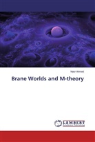 Nasr Ahmed - Brane Worlds and M-theory