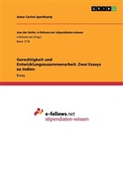 Anna Carina Speitkamp - Gerechtigkeit und Entwicklungszusammenarbeit. Zwei Essays zu Indien