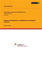Anna Catharin Heil - Drivers of Participation in Collaborative Consumption Ventures
